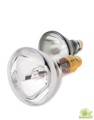 标准黑光灯灯泡 标准黑光灯灯泡